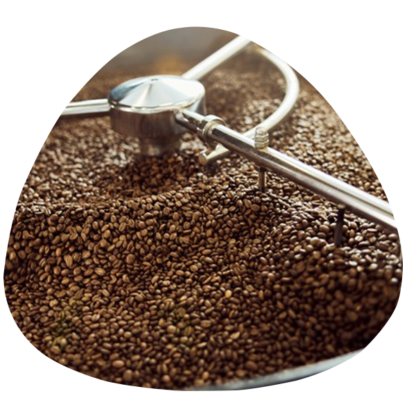 Caffè in produzione