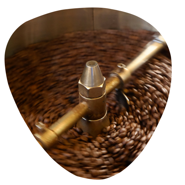 Lavorazione del caffè